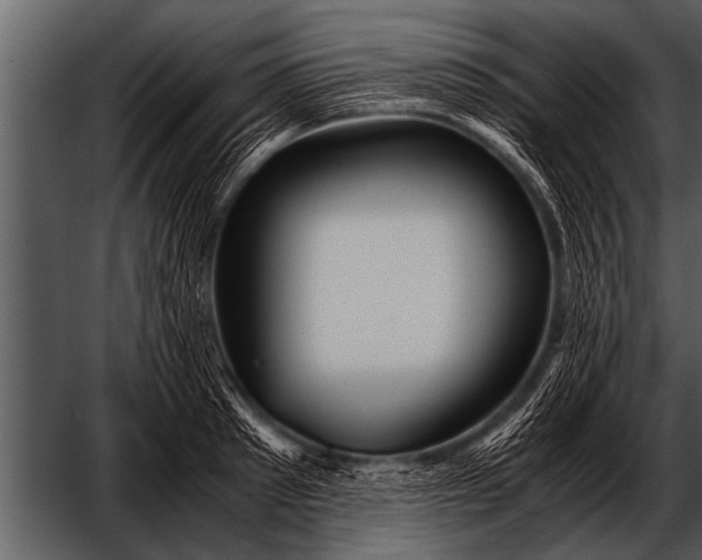 X0000052630897200507160127