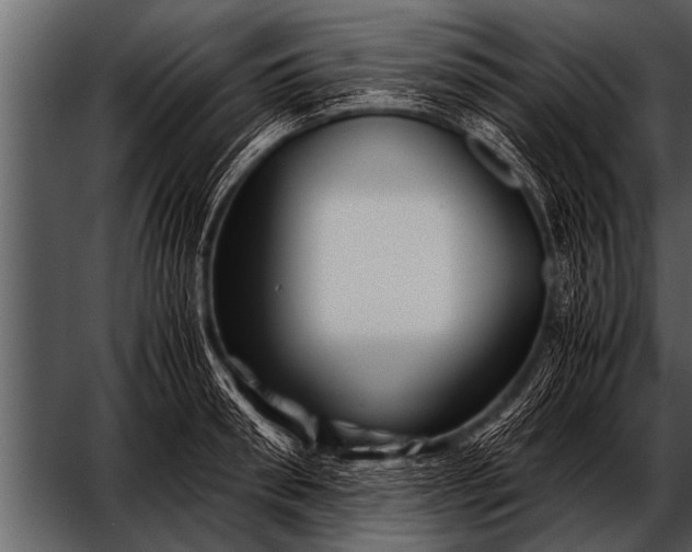 X0000052630898200507160127