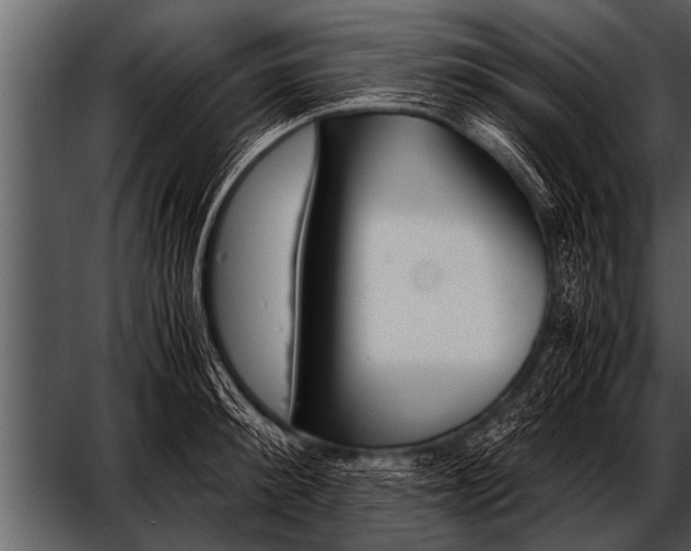 X0000052630900200507160127