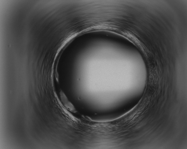 X0000052630902200507160127
