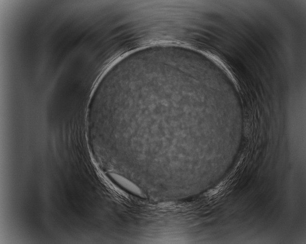 X0000052630903200507160127