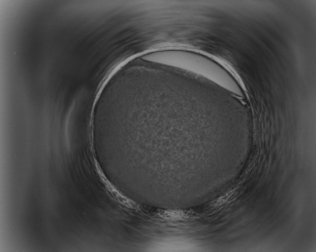X0000052630911200507160127