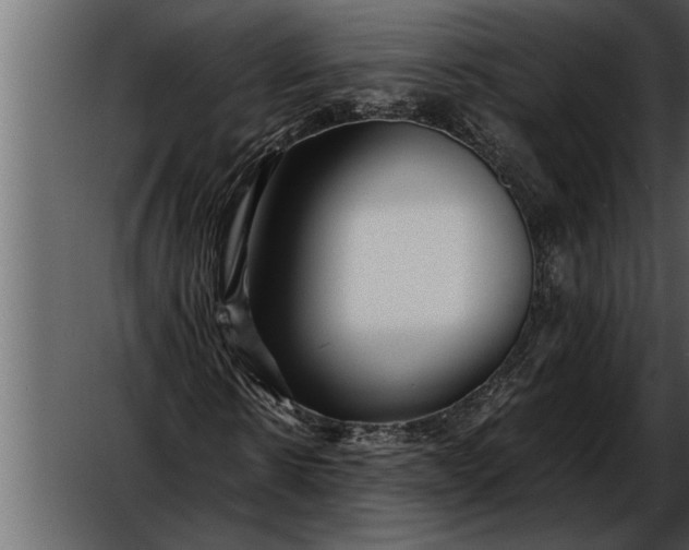 X0000052630914200507160126