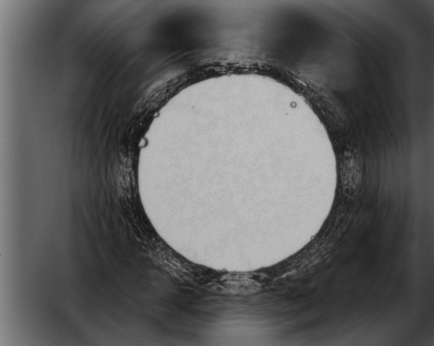 X0000052630918200507160126