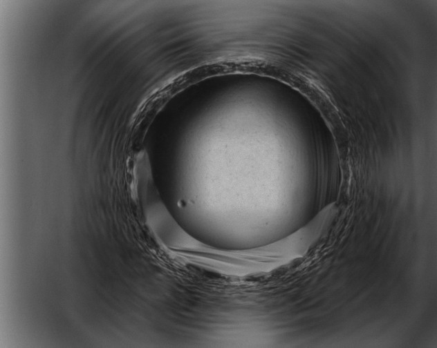 X0000052630920200507160126
