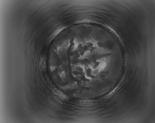 X0000052630921200507160126