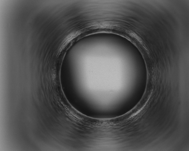 X0000052630922200507160126
