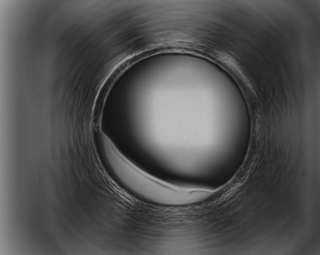 X0000052630924200507160127