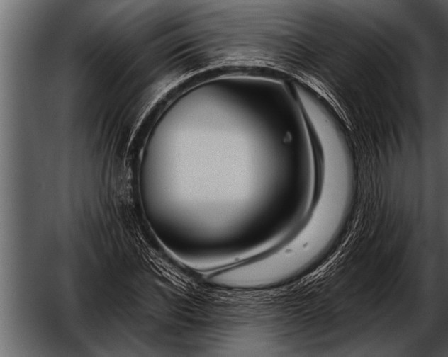 X0000052630926200507160127
