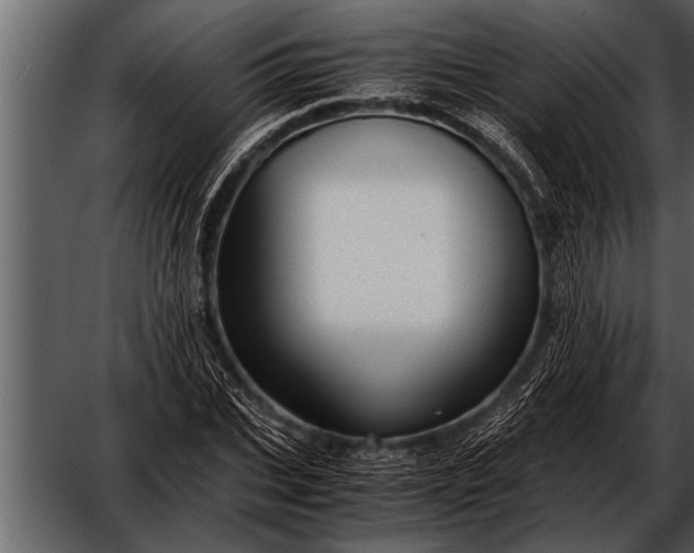 X0000052630927200507160127