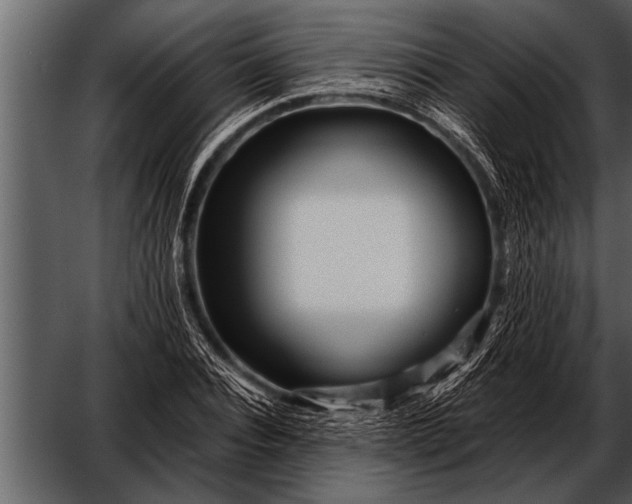 X0000052630928200507160127