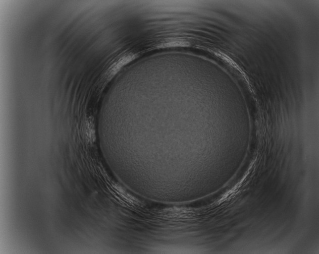 X0000052630929200507160127