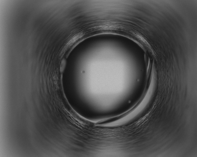 X0000052630930200507160127