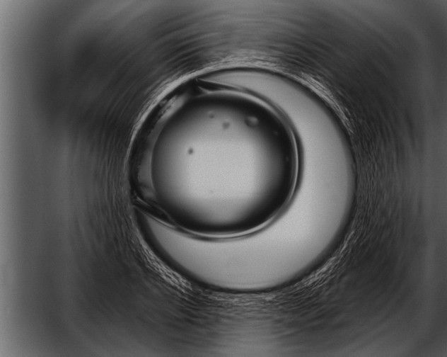X0000052630934200507160127
