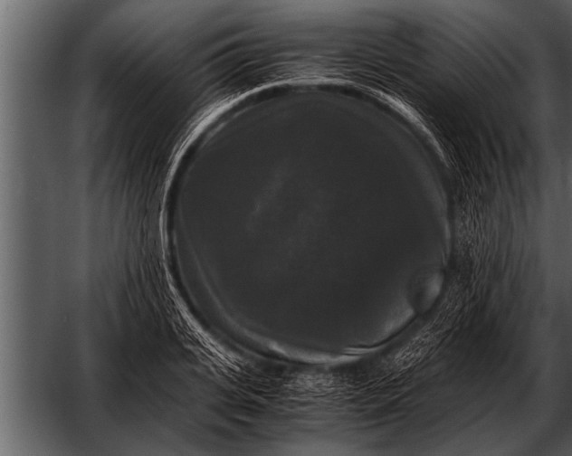 X0000052630935200507160127