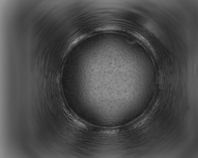 X0000052630937200507160127