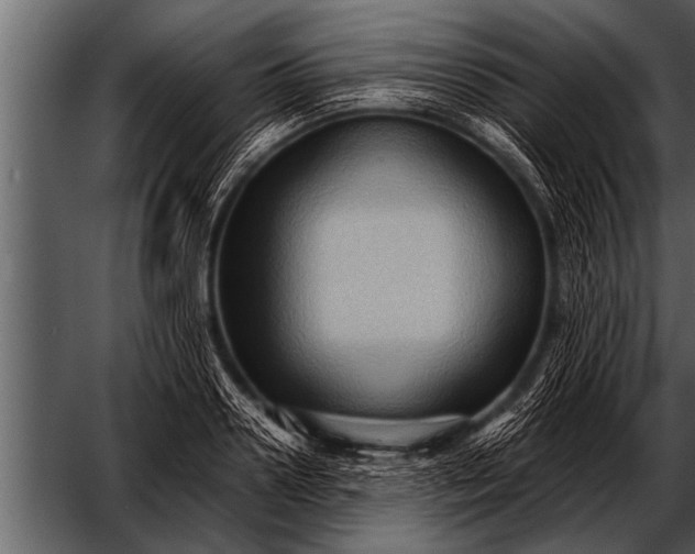 X0000052630938200507160127