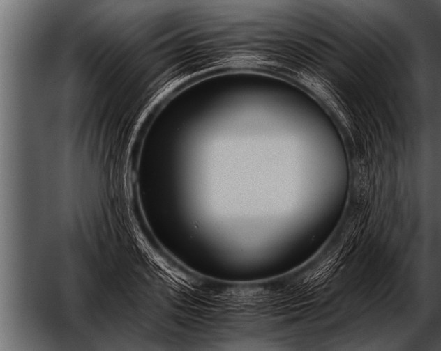 X0000052630939200507160127