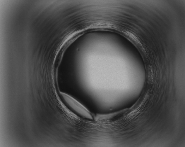 X0000052630942200507160127