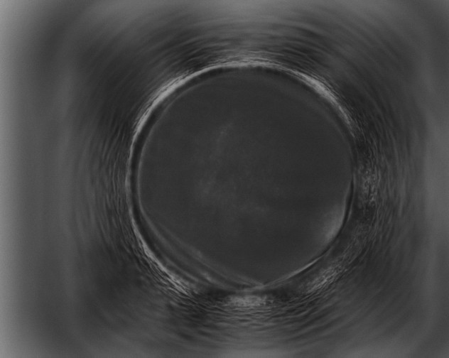 X0000052630943200507160127