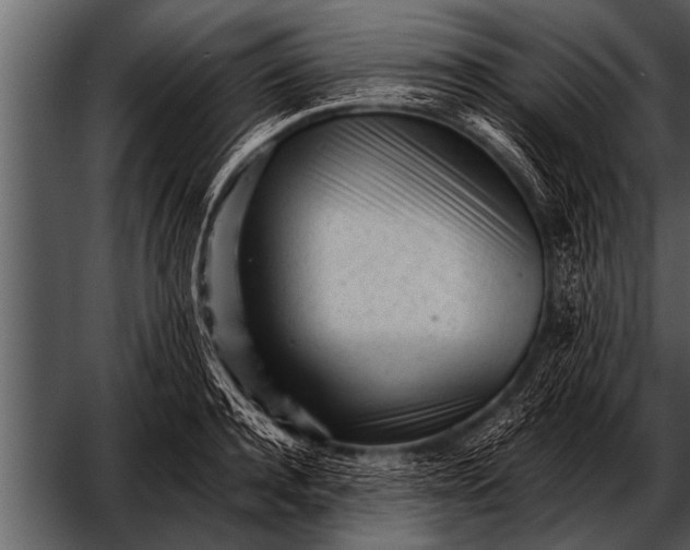 X0000052630944200507160127