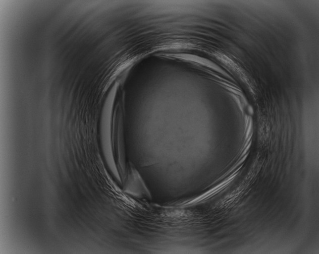 X0000052630945200507160127