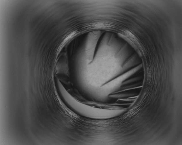 X0000052630946200507160127