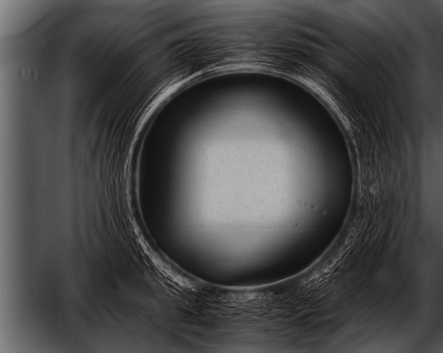 X0000052630949200507160127