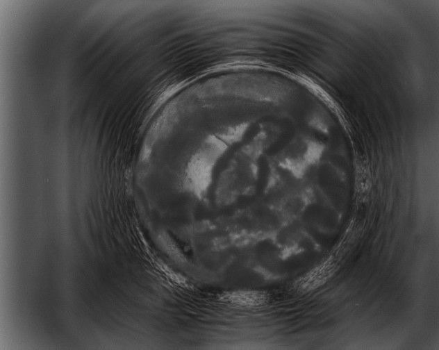 X0000052630953200507160127
