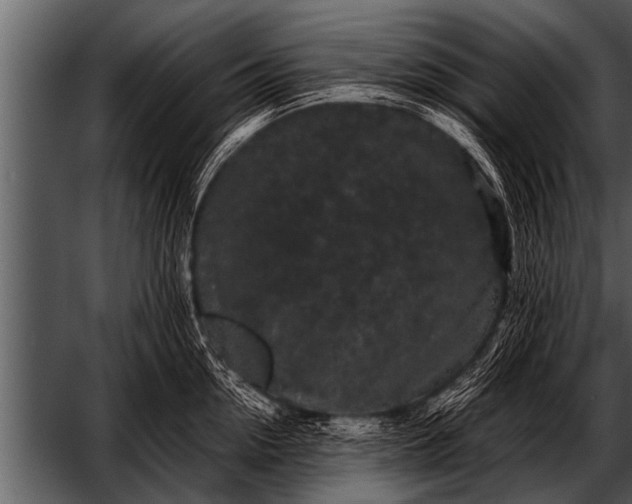 X0000052630954200507160127