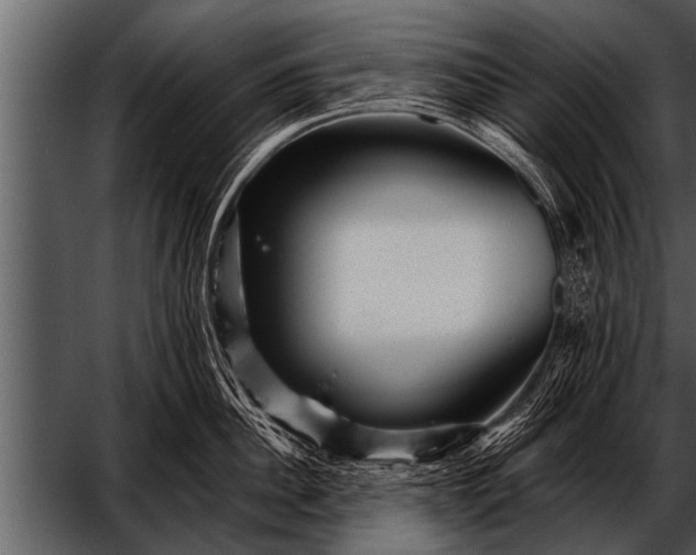 X0000052630956200507160127