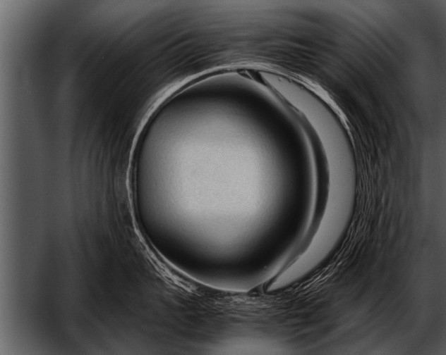 X0000052630959200507160127