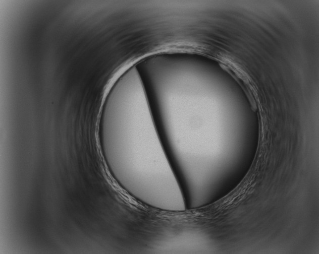 X0000052630960200507160127