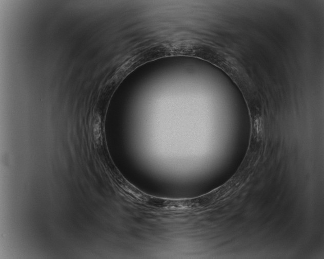 X0000052630963200507160126