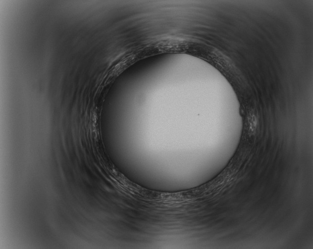 X0000052630964200507160126