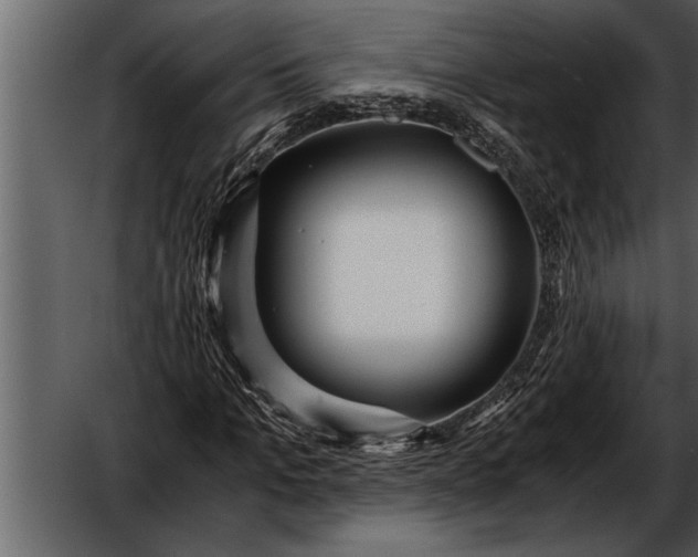 X0000052630965200507160126