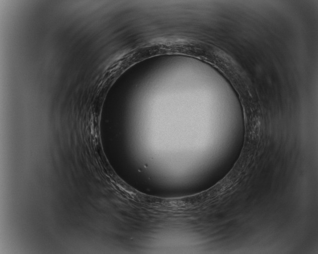 X0000052630966200507160126