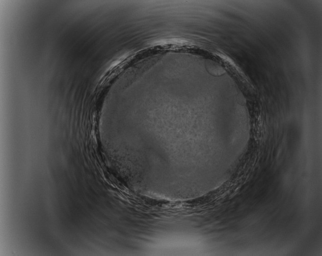 X0000052630967200507160126