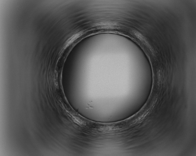 X0000052630970200507160126