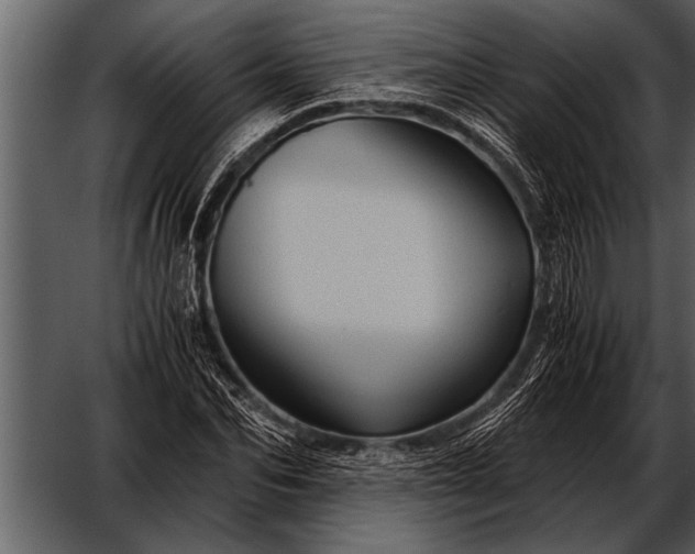 X0000052630974200507160126