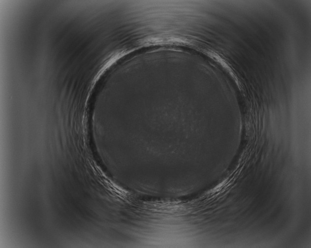 X0000052630975200507160126