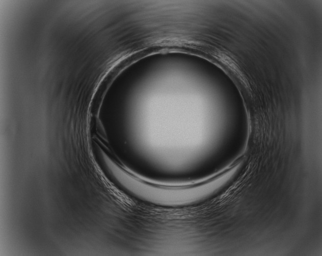 X0000052630976200507160126
