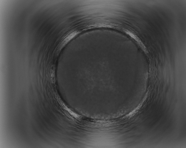 X0000052630977200507160126
