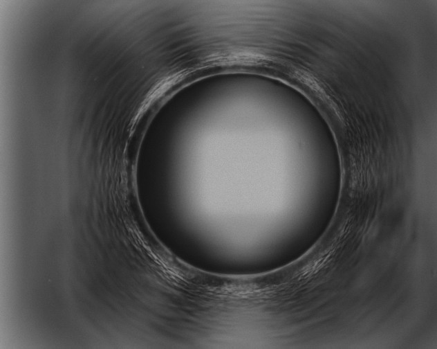 X0000052630978200507160126