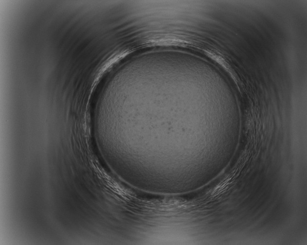 X0000052630979200507160126