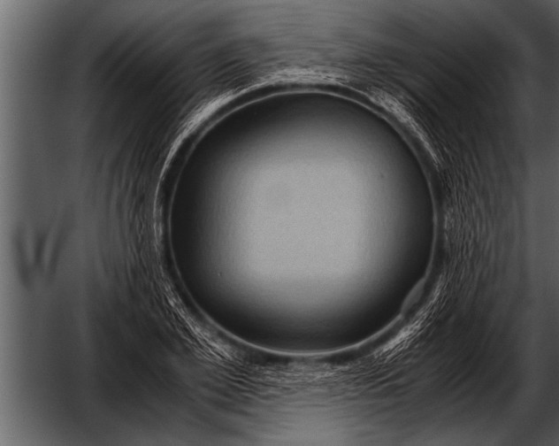 X0000052630981200507160126