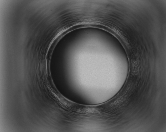 X0000052630982200507160126