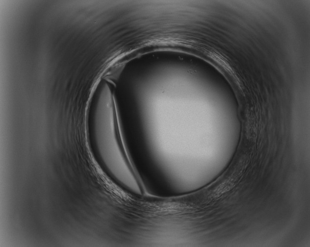 X0000052630984200507160126