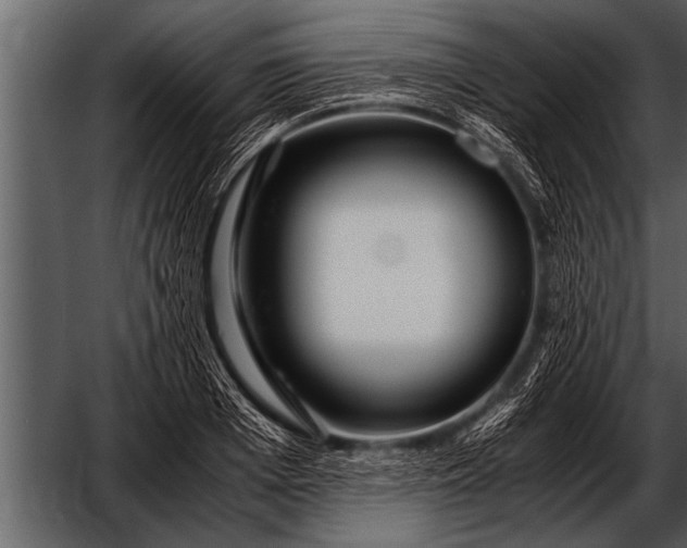 X0000052630985200507160126