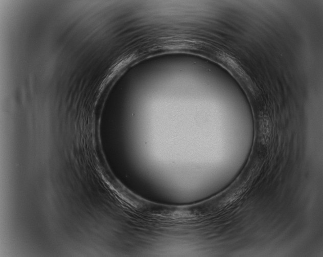 X0000052630986200507160126